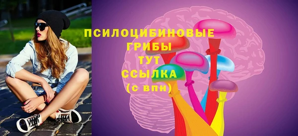 mix Слюдянка