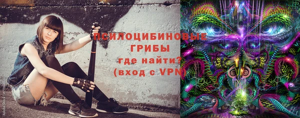 соль ск Алексин
