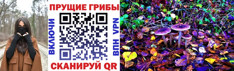 Галлюциногенные грибы мухоморы Калтан