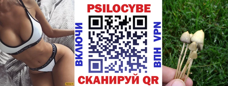 Псилоцибиновые грибы GOLDEN TEACHER  Калтан 